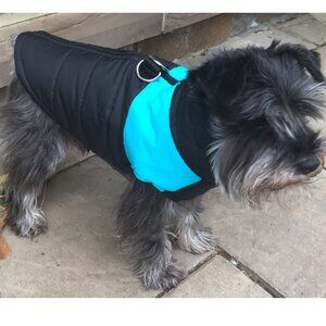 Black and Blue Dog Jacket